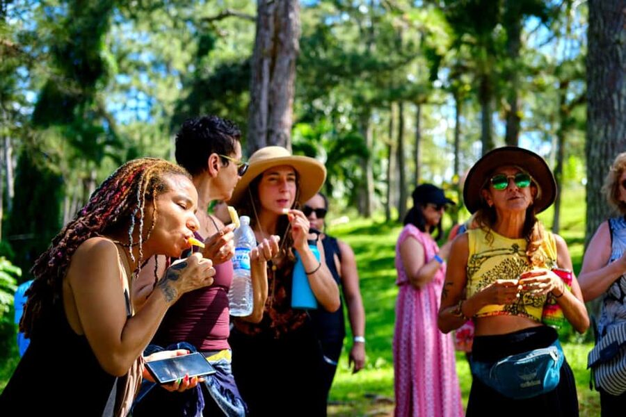 Croydon in the Mountains - Eco Farm Tour with Lunch - Key things to know before you go