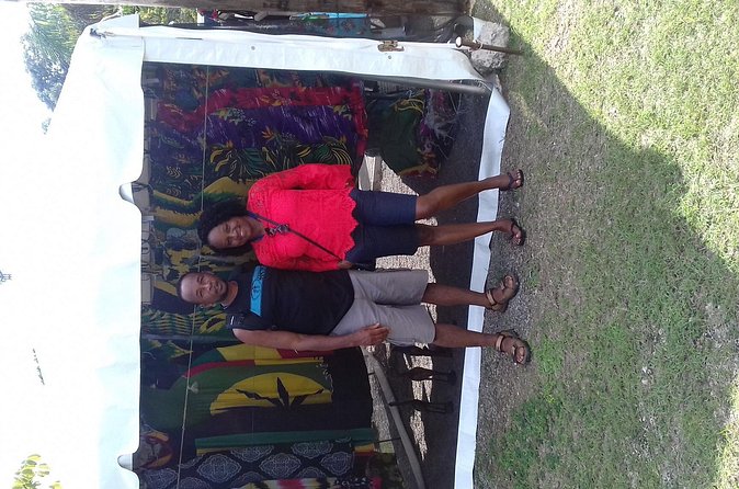 Day Trip to Dunn's River Falls from Montego Bay - Price and value: what $135.40 buys you, and what it does not
