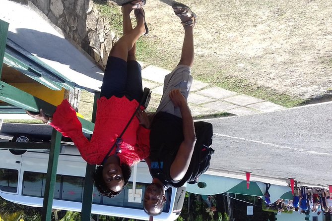 Day Trip to Dunn's River Falls from Montego Bay - Who this Dunn’s River day trip is best for