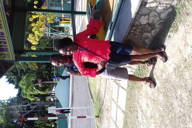 Day Trip to Dunn's River Falls from Montego Bay - The guided climb: safety, water shoes, and what to expect underfoot