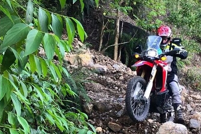 Dirt Bike Tours - The Ride Itself: Off-Road Trails, Coffee Country, and Beach Sections