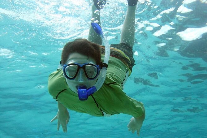 Discover Scuba Diving in Montego Bay-ONE Tank (First time Diving) - From Theory to Underwater Breathing, What the Course Actually Covers