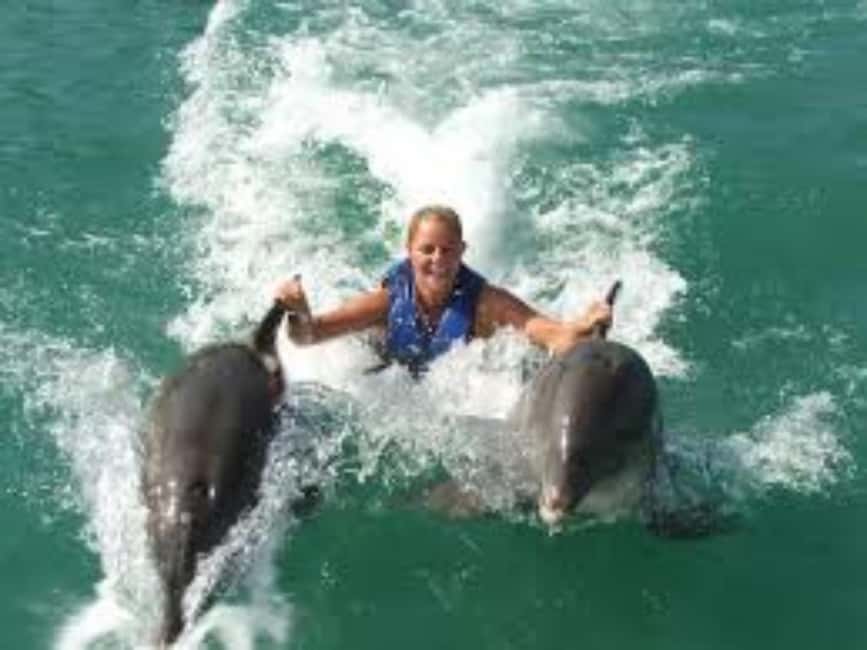 Dolphin Swim Adventure - Key Highlights You Should Know Before You Go