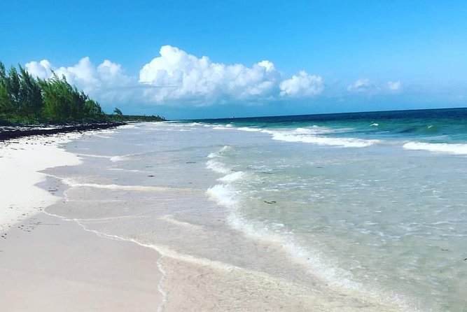 Dunn's River Falls and Beach From Ocho Rios Jamaica - Key things to know before you go