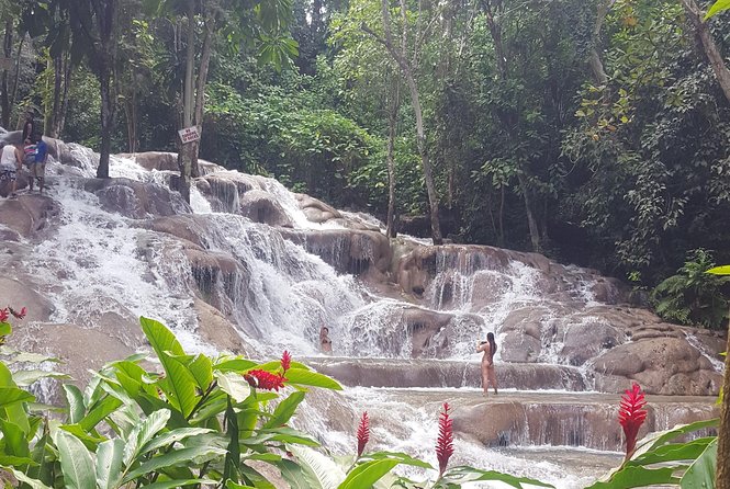 Dunn's River Falls and Beach From Ocho Rios Jamaica - What You Actually Get for the Price: Value Check