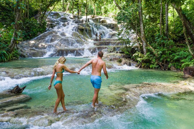 Dunn's River Falls and Bob Marley Mausoleum - What the Best Reviews Reveal About Real-Day Value
