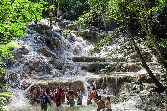 Dunn's River Falls and Horse Back Riding Excursion - Group size and guide quality, what changes the experience