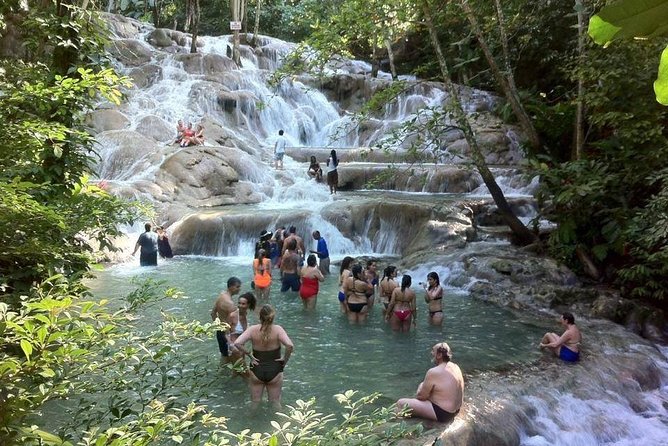 Dunn's River Falls and Jamaica Sightseeing Private Tour - Key highlights you’ll actually use