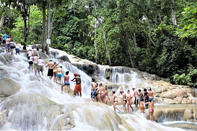 Dunn's River Falls and Ocho Rios Shopping Tour from Montego Bay Hotels - Hotel Pickup and the 8:30 AM Start That Sets the Pace