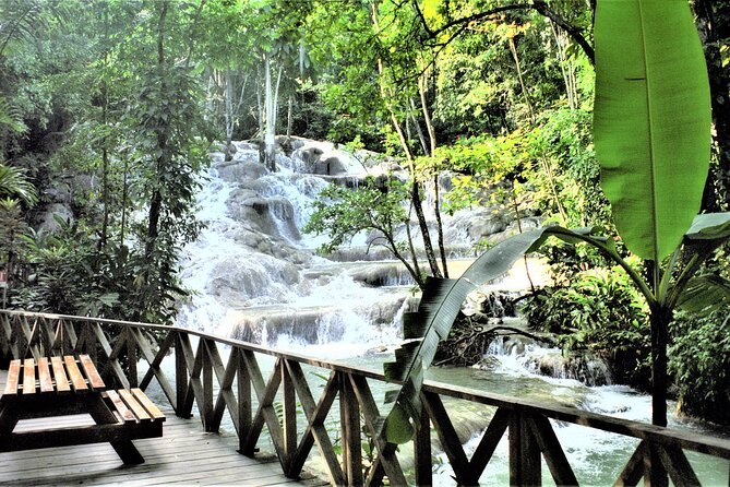 Dunn's River Falls and Ocho Rios Shopping Tour from Runaway Bay - Value check: does $135 per person feel fair