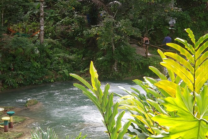 Dunn's River Falls & Blue Hole Tour from Montego Bay - Which traveler will love this, and who should skip it