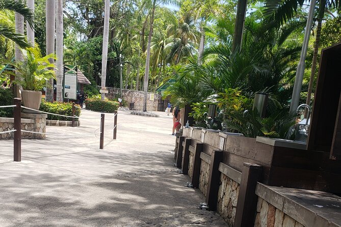 Dunn's River Falls & Blue Hole Tour from Montego Bay - Dunn’s River Falls climb, what you get and what costs extra