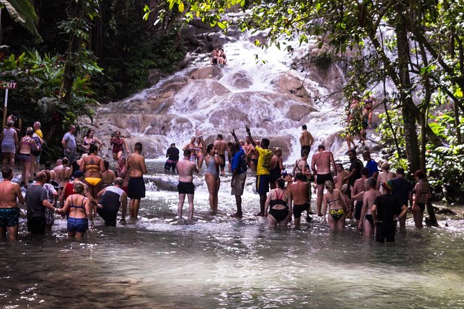 Dunn’s River Falls & Blue Hole Tour with Lunch - What the Small Group of 15 Really Does for You
