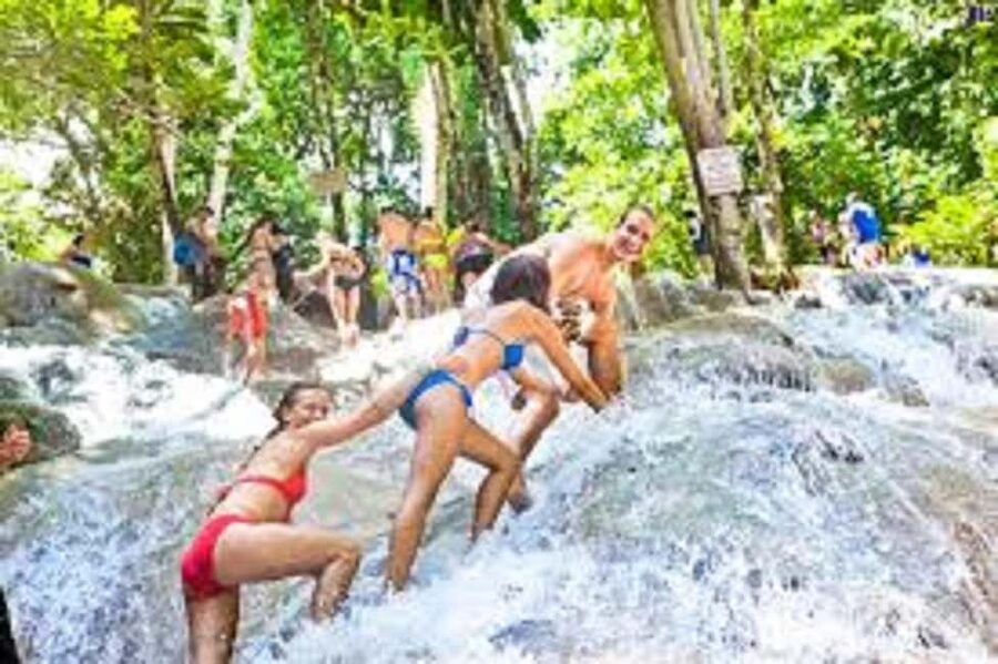 Dunn's River Falls Day Tour - Fern Gully: the herb and spice walk that gives the day meaning