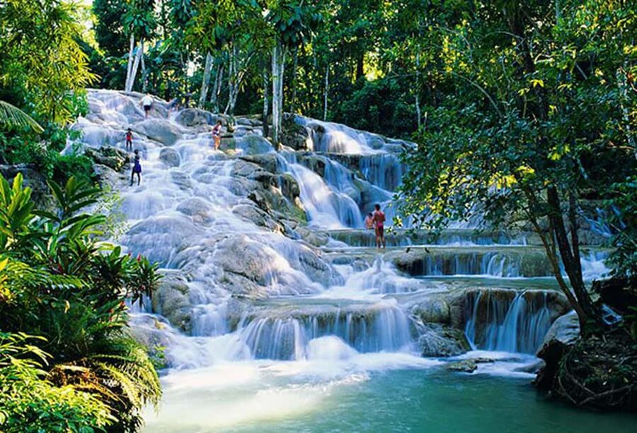 Dunn's River Falls Day Tour - Getting there fast: Montego Bay pickup and a driver you can actually find