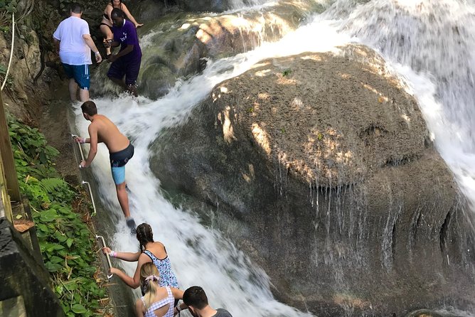 Dunn's River Falls From Montego Bay - What You Actually Get on the Day (And Why It Matters)