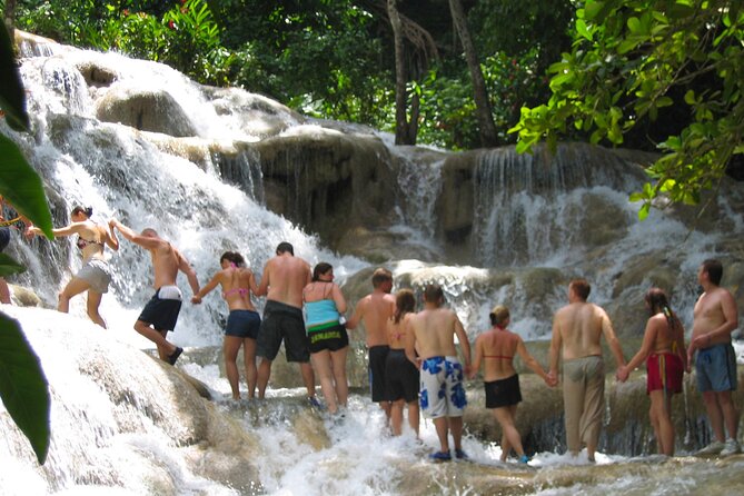 Dunn's River Falls & Luminous Lagoon Guided Tour from Montego Bay - Price and what you actually get for $145