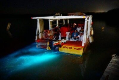 Dunn’s River Falls & Luminous Lagoon Guided Tour from Montego Bay