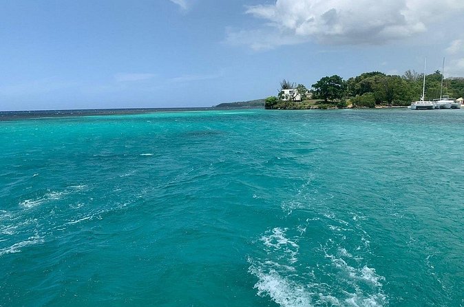 Dunn's River Falls Party Cruise, Blue Hole with Snorkeling, free beverages - FAQ