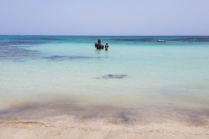 Dunn's River Falls, River Tubing, and Horseback Riding With Transportation - How to make the day smoother (what I’d prep before you go)