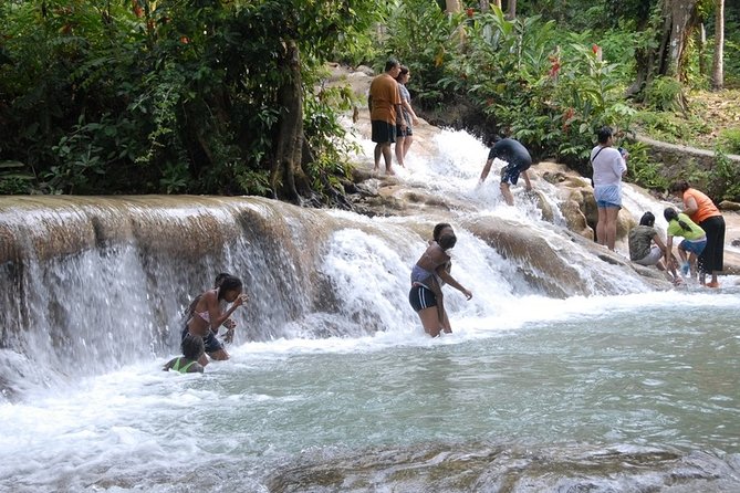 Dunn's River Falls Tour from Ocho Rios - Price and Value: What $109.75 Covers, and What It Does Not