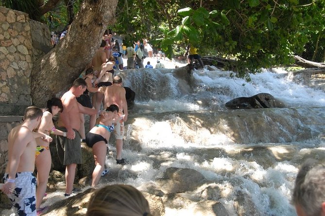 Dunn's River Falls Tour from Ocho Rios - Who This Tour Fits Best (And Who Should Think Twice)