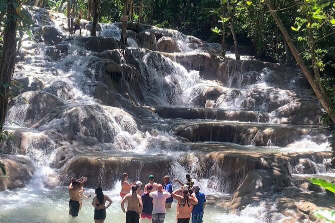 Dunn's River Falls, Zipline Adventure from Kingston - Key highlights worth getting excited about