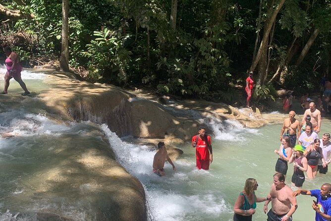 Dunn's River Falls, Zipline Adventure from Kingston - Zipline across Dunn’s River: the thrill moment you’ll remember