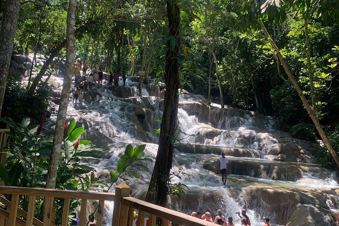 Dunn's River Falls, Zipline Adventure from Kingston - Price and included extras: what $249 really covers