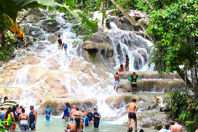 Dunn's River Park & Blue Hole Waterfall Combo from Montego Bay - Getting from Montego Bay: transport comfort and how the day stays on track