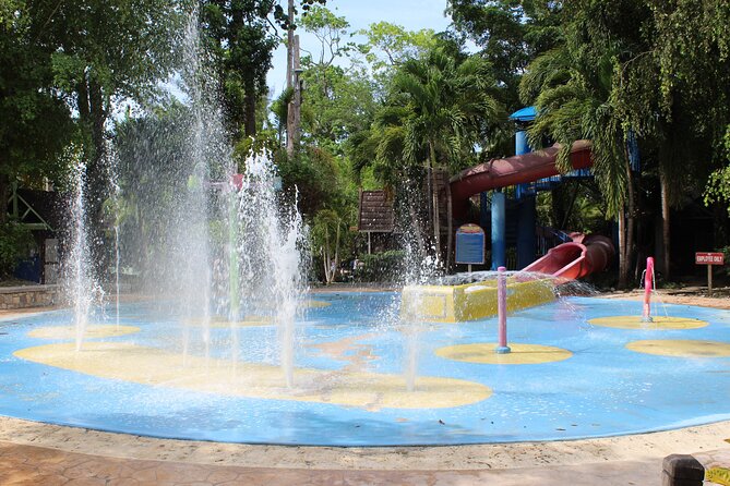 Dunn's River Park & Blue Hole Waterfall Combo from Montego Bay - Dunn’s River Falls: the 960-foot climb, safety pacing, and why guides matter