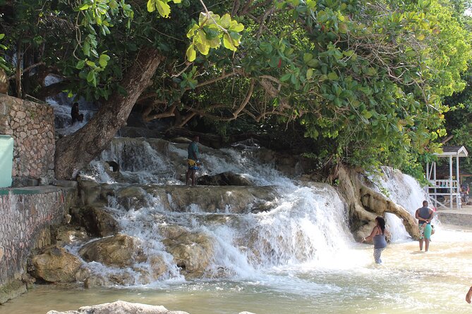 Dunn's River Park & Blue Hole Waterfall Combo from Montego Bay - Price and value: what you actually get for $135 per person