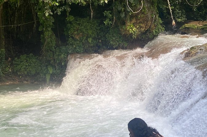 Dunns River Falls and Shopping Tour in Ocho Rios - Who this tour suits best (and who might want a different day)