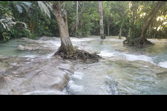 Dunns River Falls Experience from Montego Bay Resorts - Zipline on site: an extra thrill option to consider