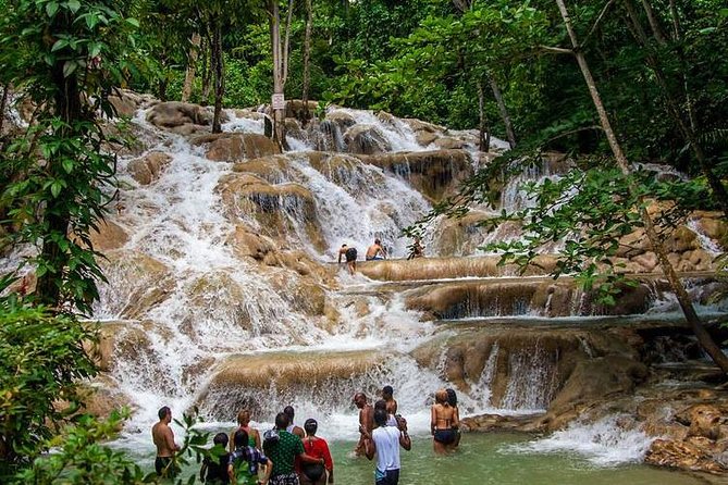 Dunns River Falls Scenic Tour - Key Things You’ll Notice on This Dunn’s River Falls Tour