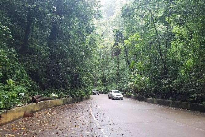 Dunns River Falls Scenic Tour - A Stress-Free Kingston Start With a 9:30 AM Hotel Meet