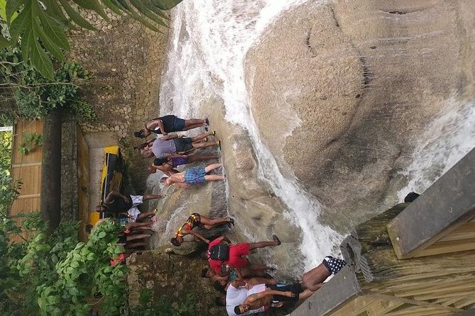 Dunns River Falls Scenic Tour - Who This Private Dunn’s River Tour Fits Best