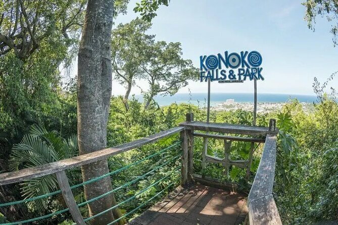 Eco Explorers Waterfall, Rainforest, local Shopping with lunch - Price and timing: why the value works for the right traveler
