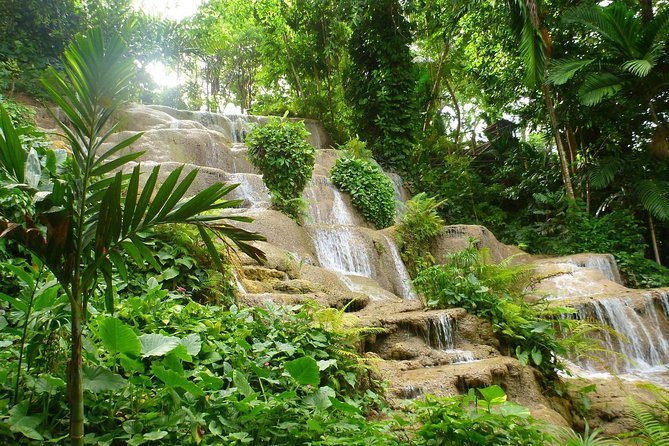 Eco Explorers Waterfall, Rainforest, local Shopping with lunch - Who should book this tour (and who should skip it)