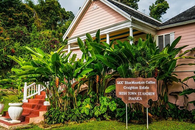 Exotic Blue Mountain Coffee Tour - Key highlights to know before you go