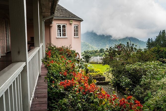Exotic Blue Mountain Coffee Tour - Guide style and the difference it makes on long ride days