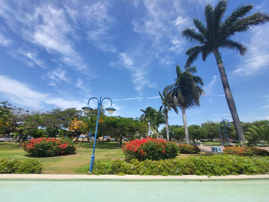 Explore Downtown Kingston and New Kingston: - Downtown Kingston Art Murals, a Walk That Feels Like a Gallery Line