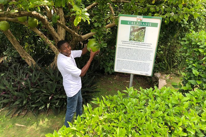 Explore Montego Bay Jamaica Private Tour to Green Gratto Cave - Entering Green Grotto Cave, and how to get ready