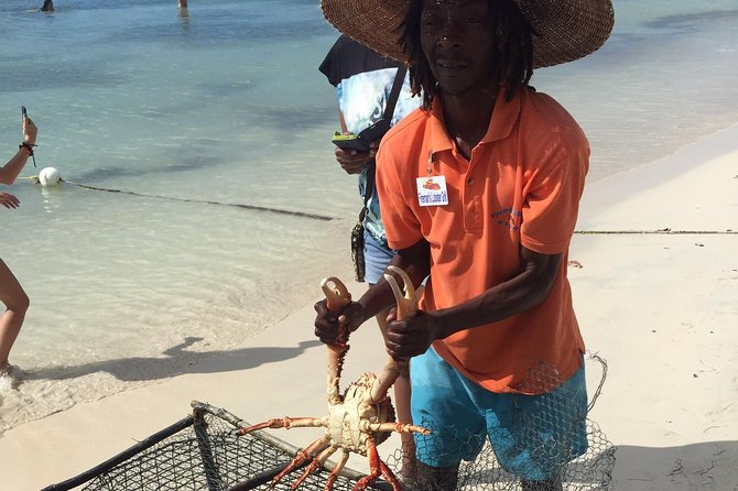 Explore Montego Bay Jamaica to Negril Beach & Ricks Cafe Sunset - Key highlights at a glance