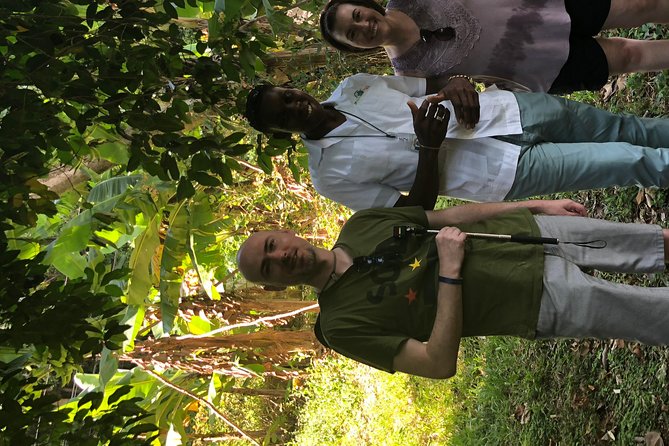 Explore Montego Bay Private Highlight Tour from Montego Bay - How Private Means You Actually Control the Day