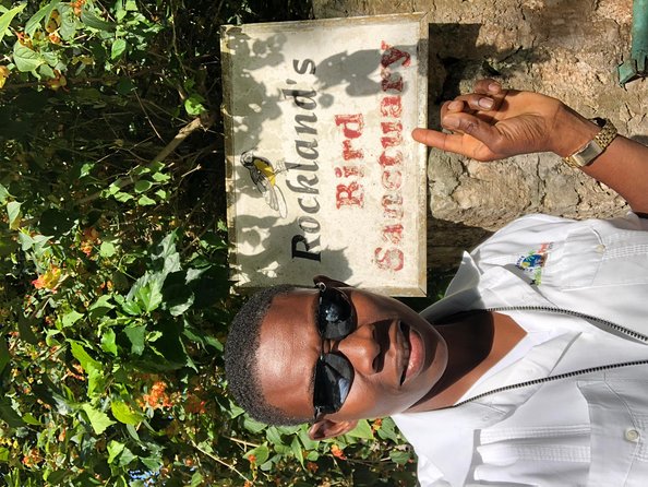 Explore Montego Bay Private Highlight Tour from Montego Bay - Choosing the Right Guide Energy for Your Group