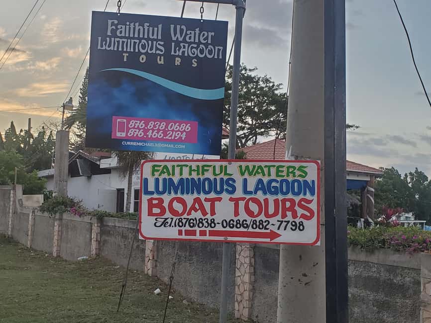 Falmouth: Luminous Lagoon Boat Tour - On the water: your boat ride in the glowing lagoon