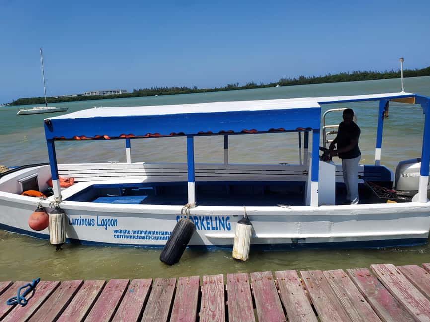 Falmouth: Luminous Lagoon Boat Tour - Group size, private options, and what that changes