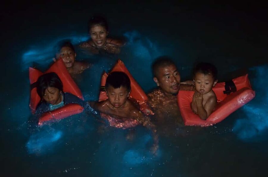 Falmouth: Luminous Lagoon Boat Tour - Accessibility and who should check before booking