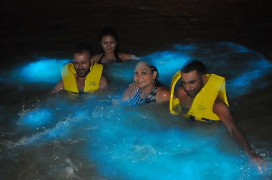 Falmouth: Luminous Lagoon Boat Tour - Timing matters: late evening is the whole trick